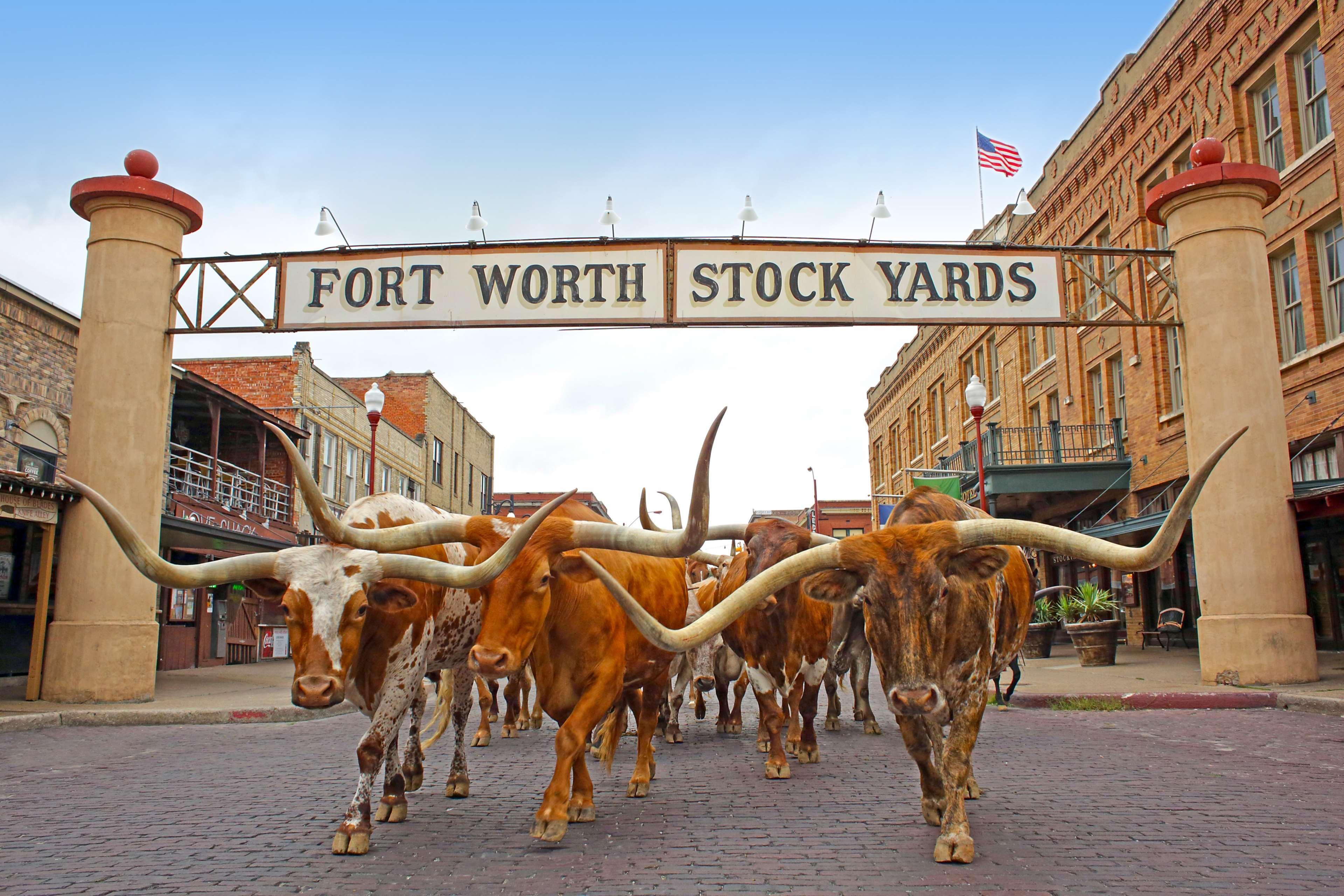 Radisson Hotel Fort Worth North-Fossil Creek Exterior foto